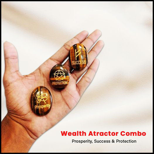 Wealth Attractor Kit